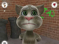 Talking Tom Cat