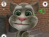 Talking Tom Cat