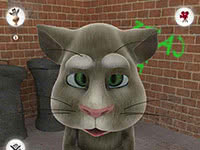 Talking Tom Cat