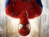 The Amazing Spider-Man 2